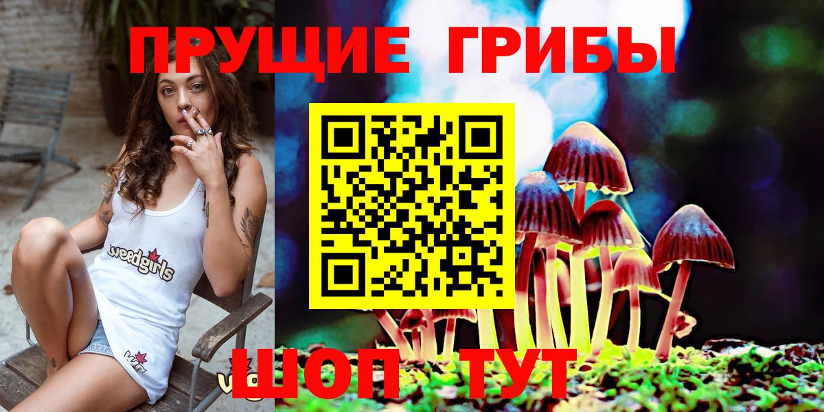 Минеральные Воды  Галлюциногенные грибы Psilocybine cubensis  Псилоцибиновые грибы GOLDEN TEACHER  Вход с VPN 